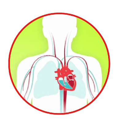 Heart failure diagram