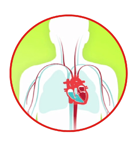 Heart failure diagram